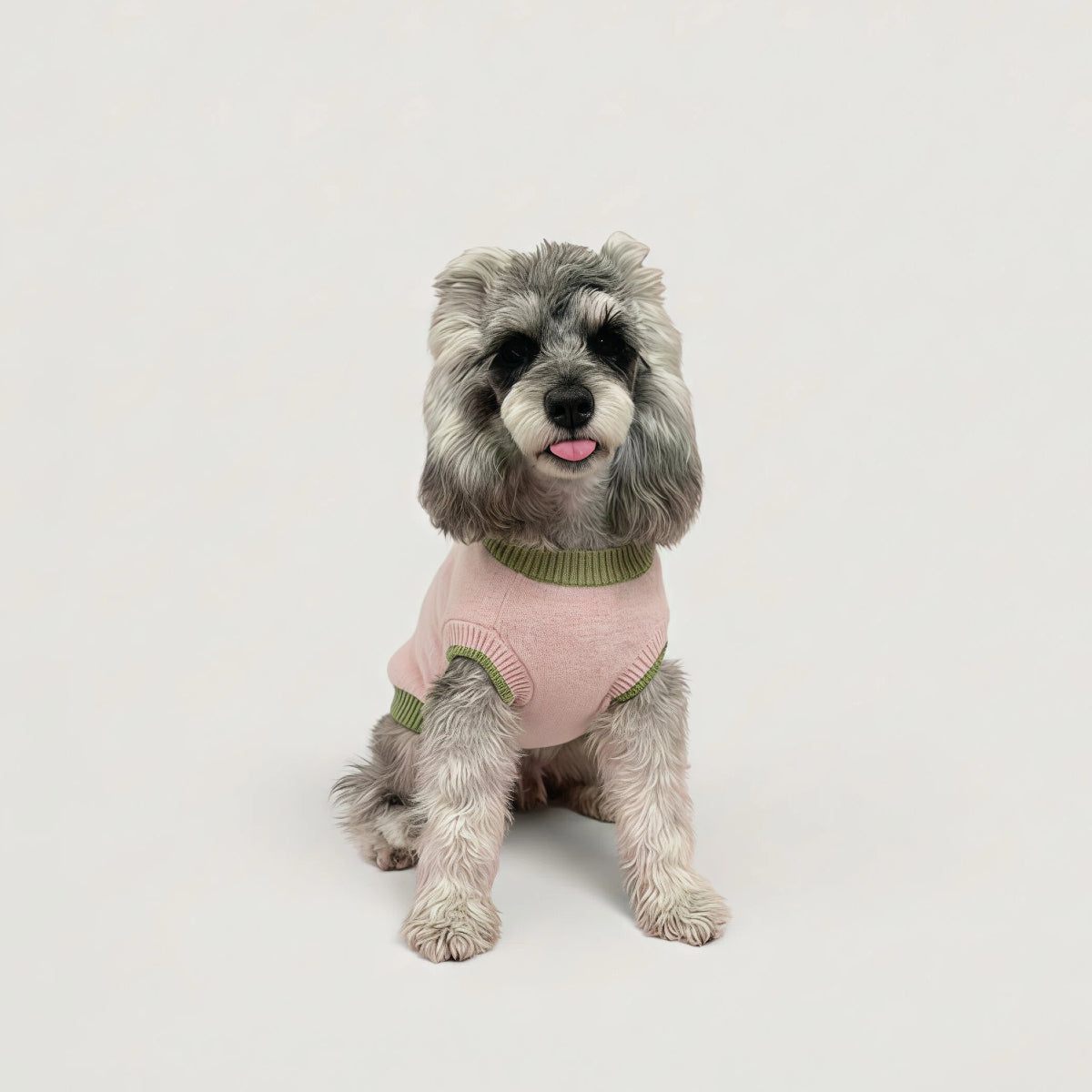 Soft Pink Strawberry Plush Pet Sweater
