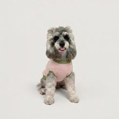 Soft Pink Strawberry Plush Pet Sweater