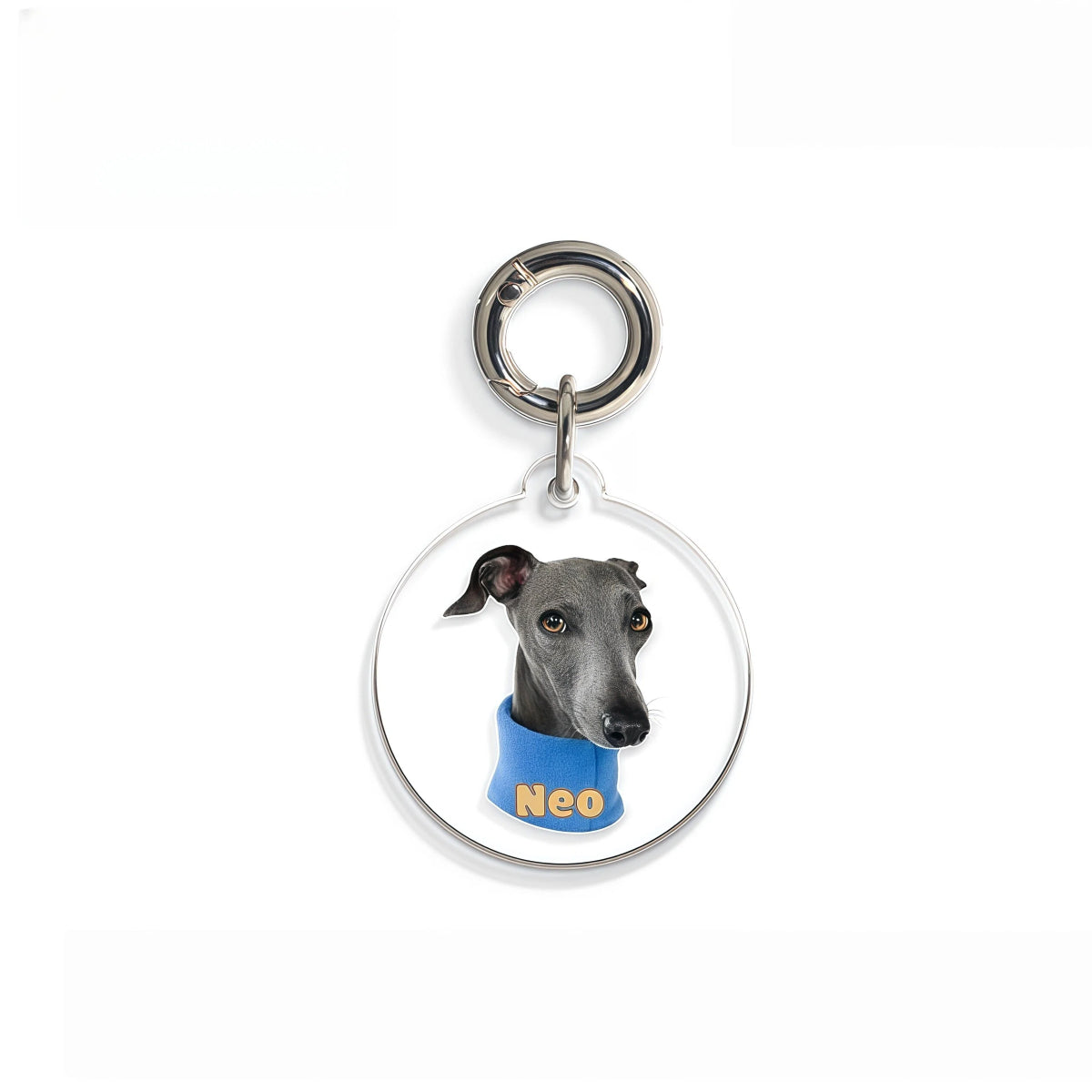 Personalized Portrait Pet ID Tag – Safety Clip Design