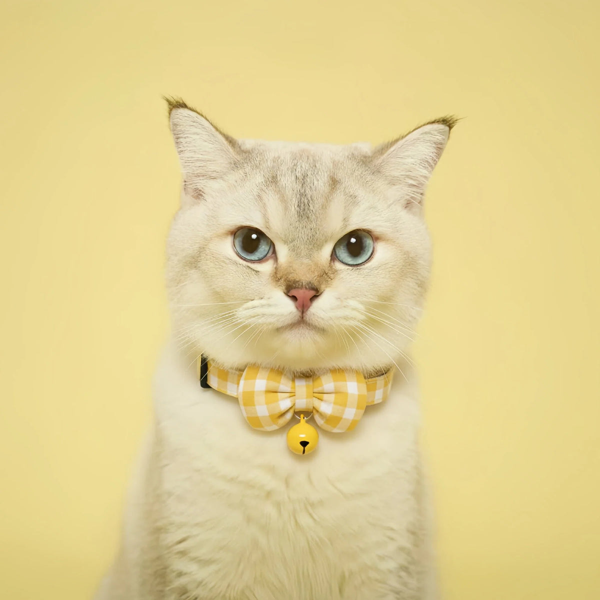 Honey Yellow Gingham Bow Cat Collar – Safety Buckle