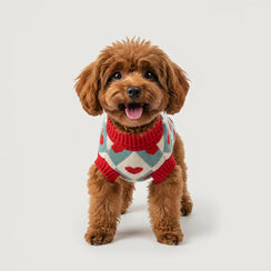 Red Heart Jacquard Turtleneck Dog Sweater