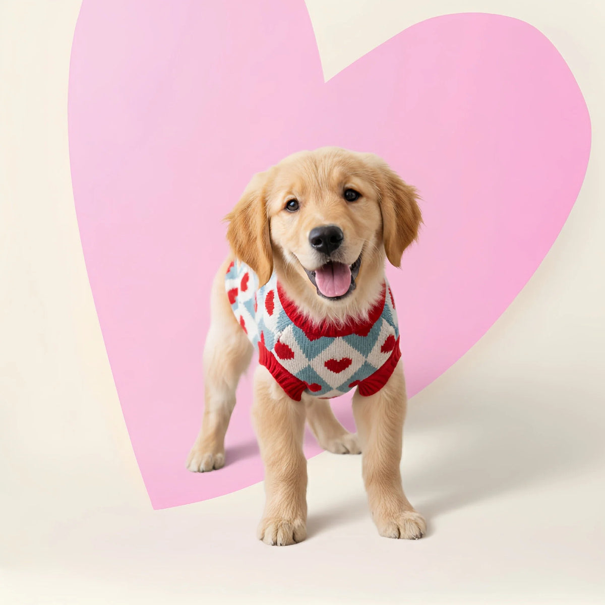 Red Heart Jacquard Turtleneck Dog Sweater